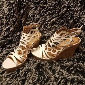 Not Rated Lattice Wedges